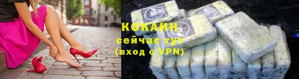 прущие грибы Армянск