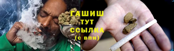 прущие грибы Армянск