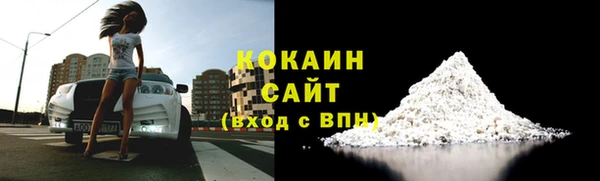 прущие грибы Армянск
