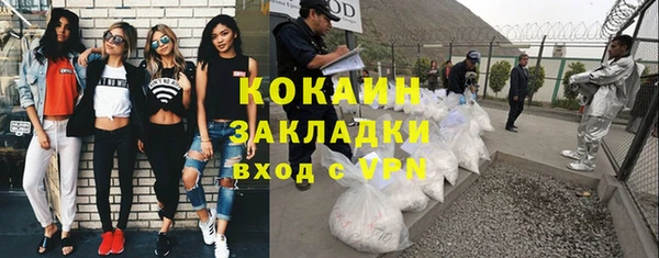 трава Аркадак