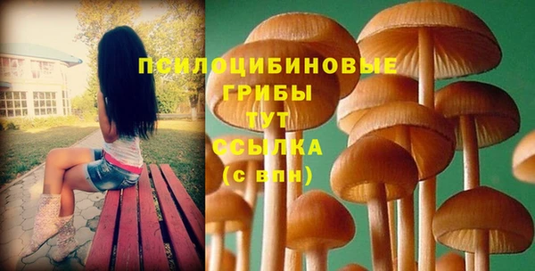 прущие грибы Армянск